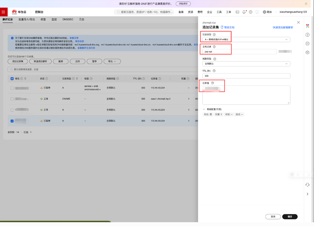DNS 解析后端域名