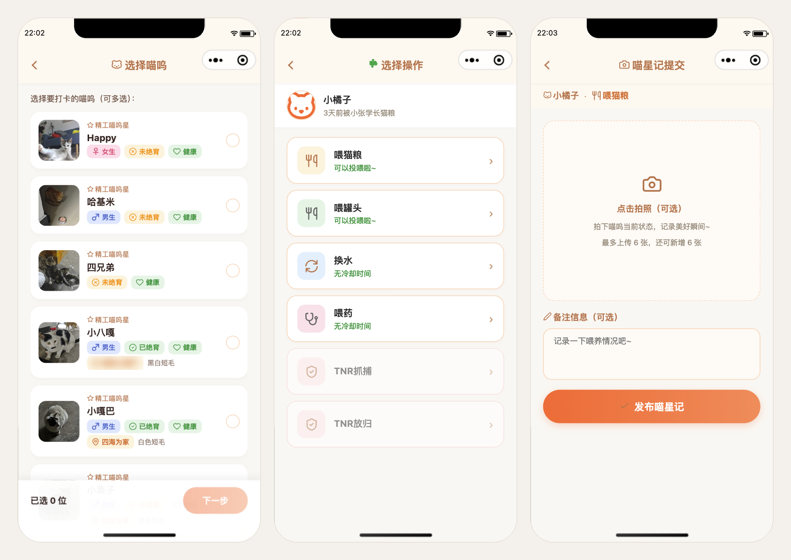 选一只猫、选刚做过的事,再提交一条喵星记